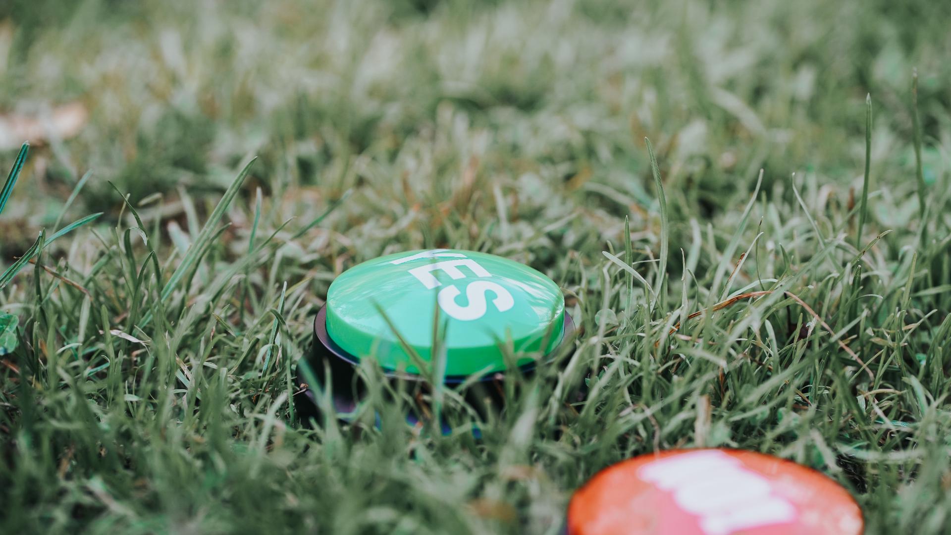 Zwei Buttons mit der Aufschrift "YES" und "NO" liegen in einer Wiese.